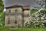 tannenfeld-sommer 2012-059